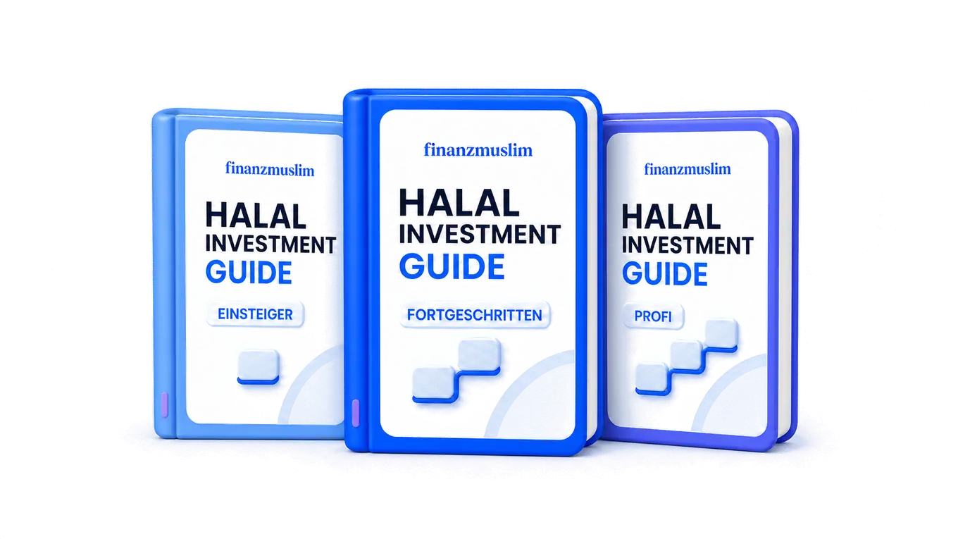 Der Halal Investment Guide in drei Stufen: Einsteiger, Fortgeschritten, Profi